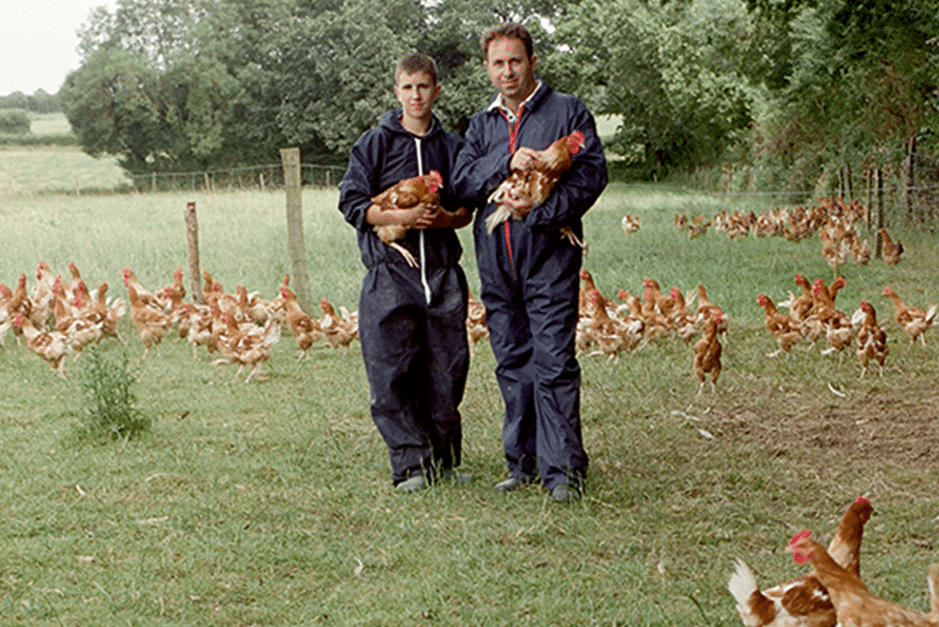 Levage De Poulets En Plein Air